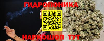 экстази Будённовск