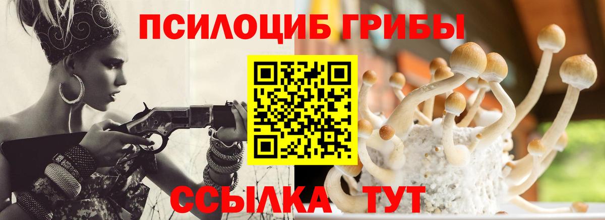 Новотроицк  Псилоцибиновые грибы MAGIC MUSHROOMS  Вход с VPN 